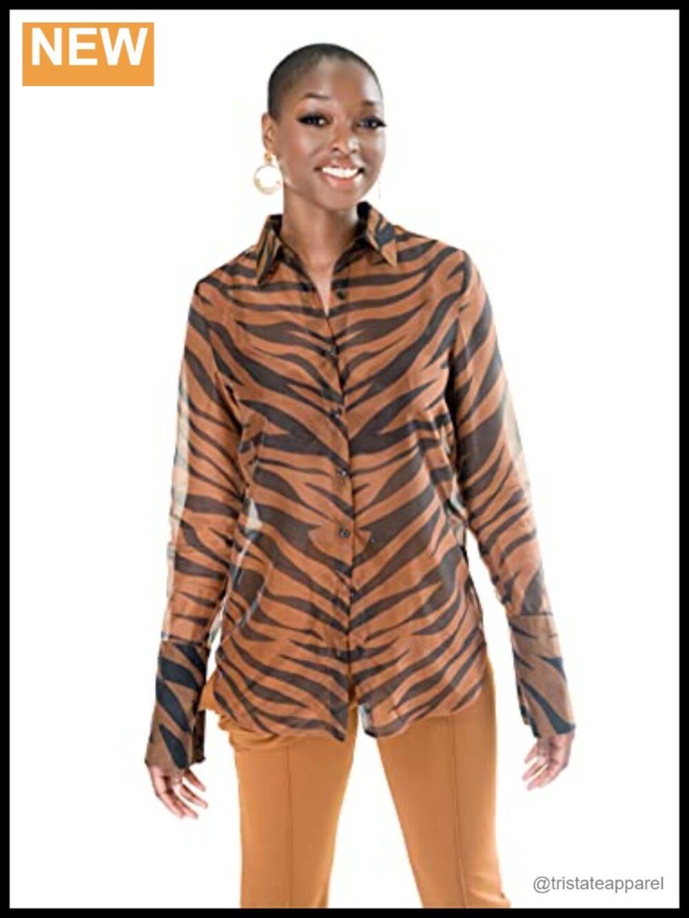Sheer Organza Button Up Shirt Long Sleeve